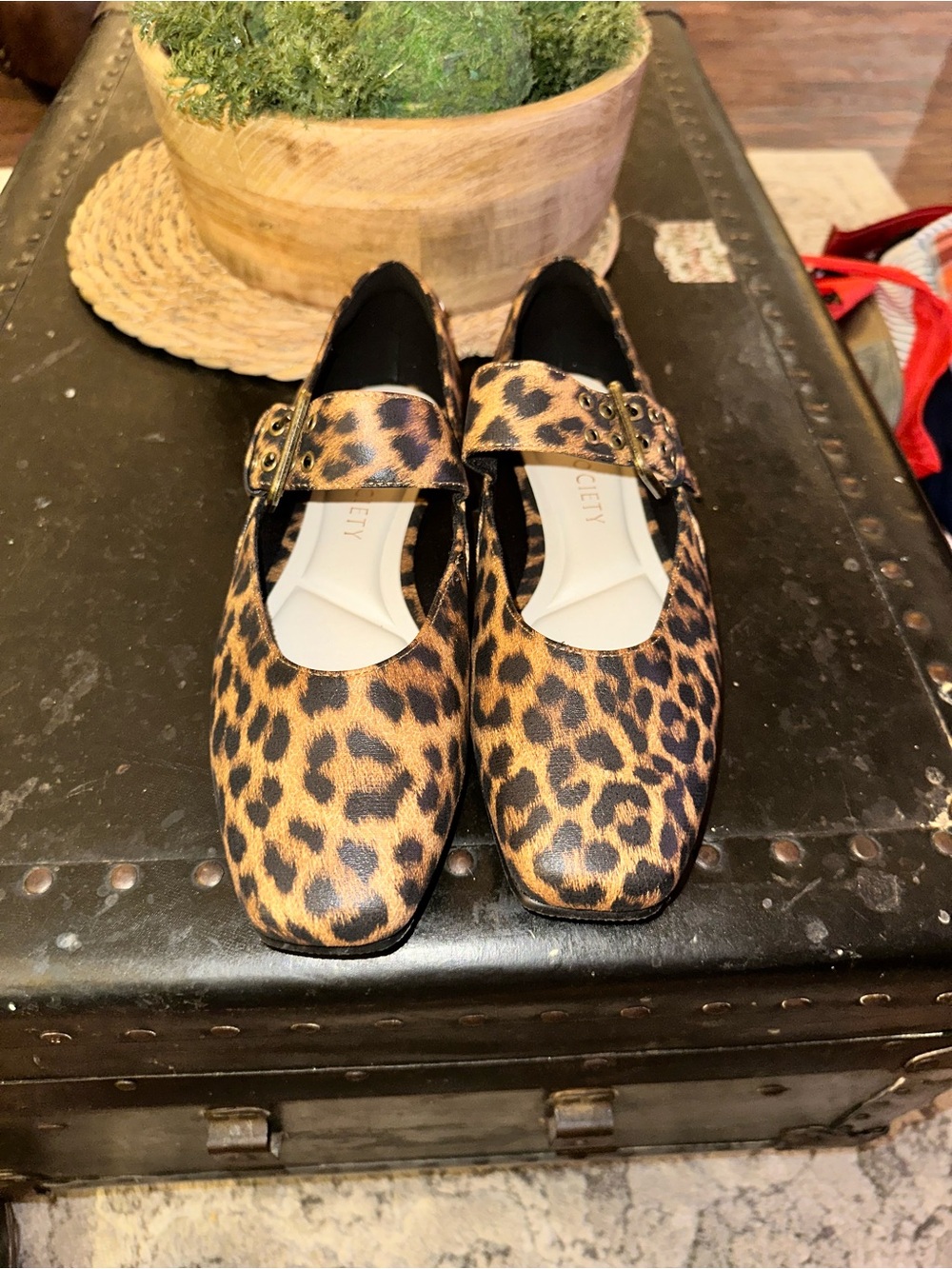 Leopard Print Mary Jane Flats in Brown by Vionic